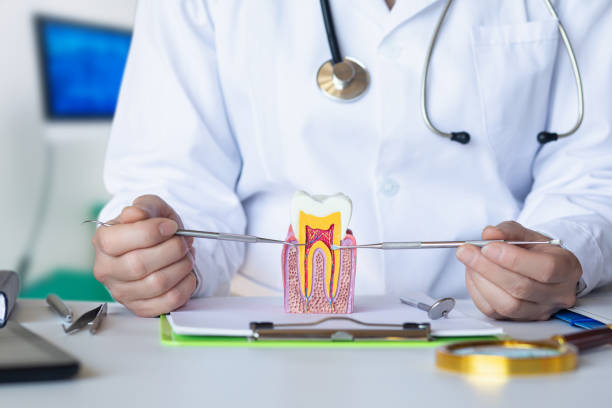 Best Emergency Treatment for Oral Infections in Wood River, IL